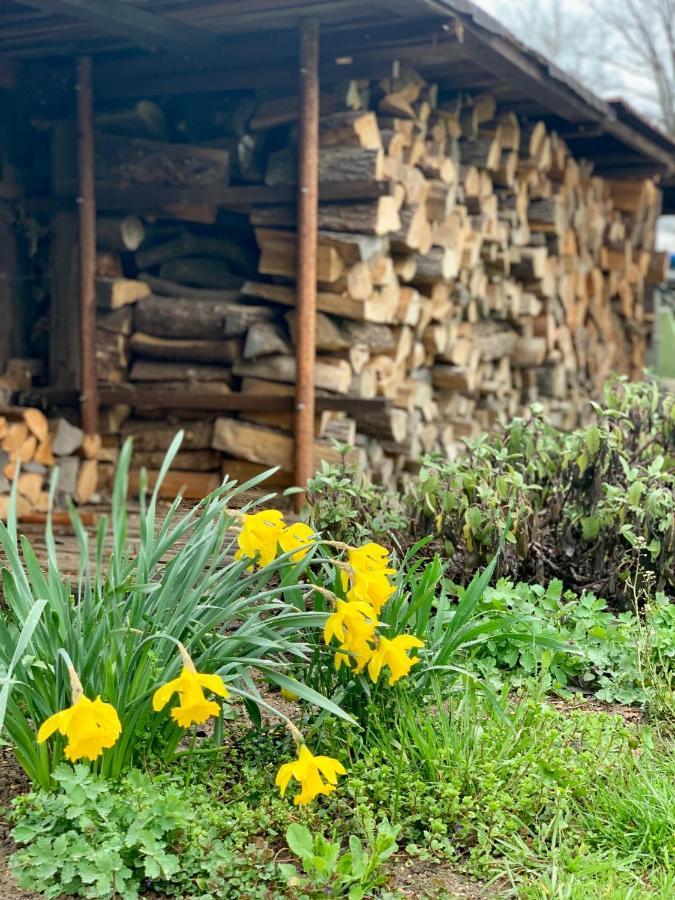 Vakantiehuis Luznice Třeboň